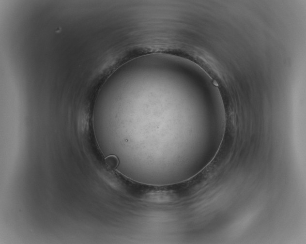 X0000112740499200908201349