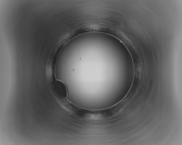 X0000112740500200908201349