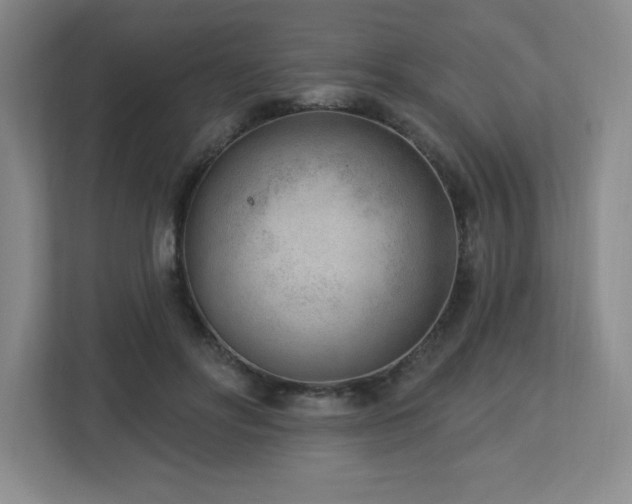 X0000112740502200908201349