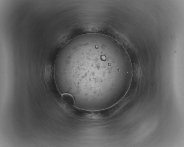 X0000112740511200908201349