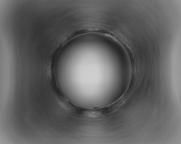 X0000112740512200908201349
