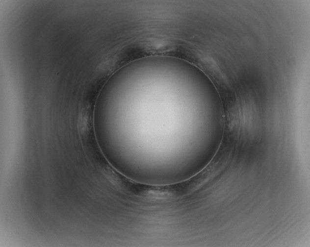 X0000112740515200908201349