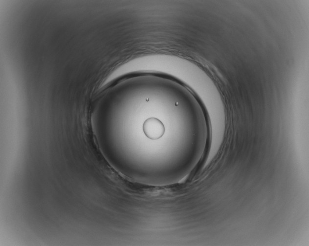 X0000112740517200908201349