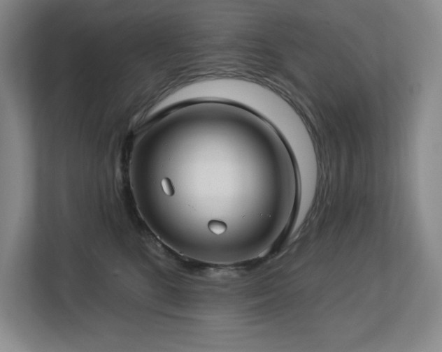 X0000112740520200908201349