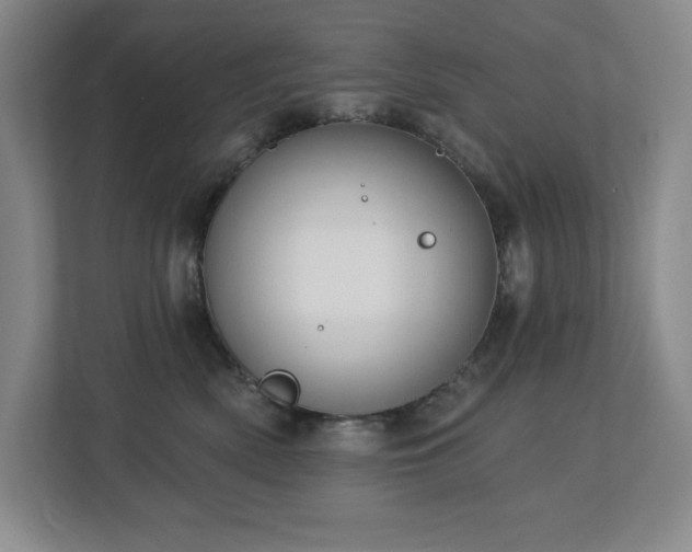 X0000112740522200908201349