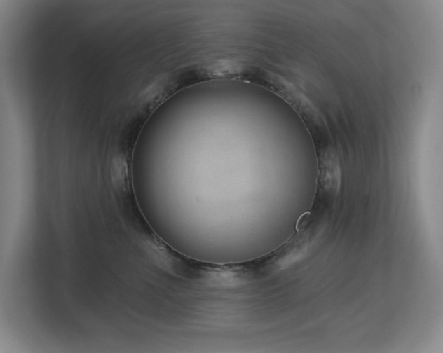 X0000112740523200908201349