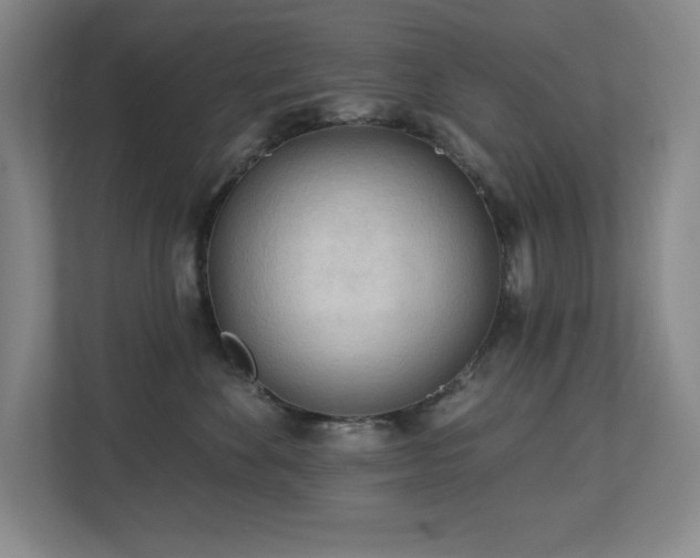 X0000112740524200908201349