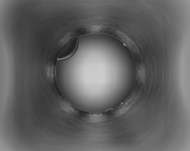 X0000112740525200908201349