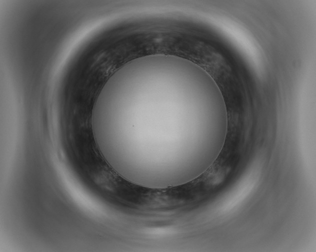 X0000112740526200908201349