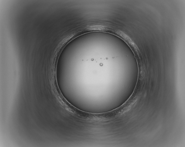 X0000112740529200908201348