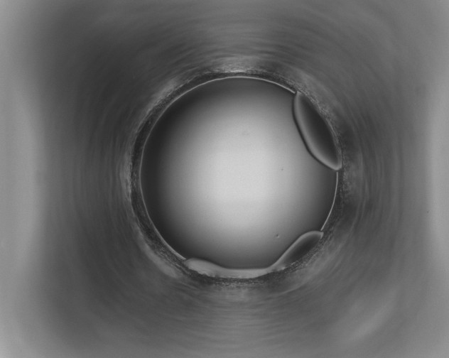 X0000112740530200908201348