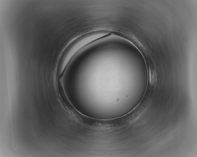 X0000112740531200908201348