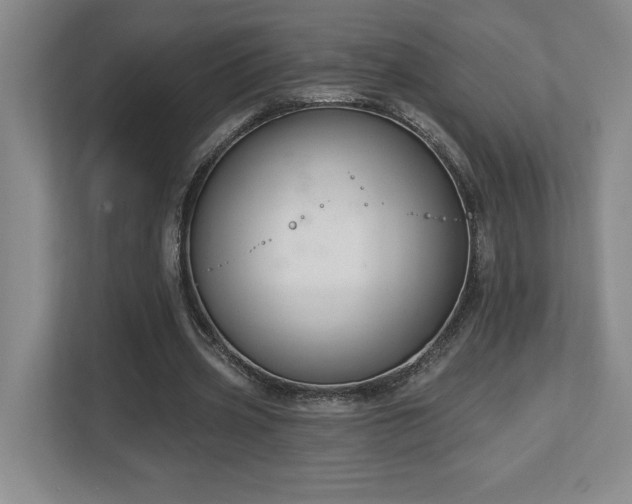 X0000112740533200908201348
