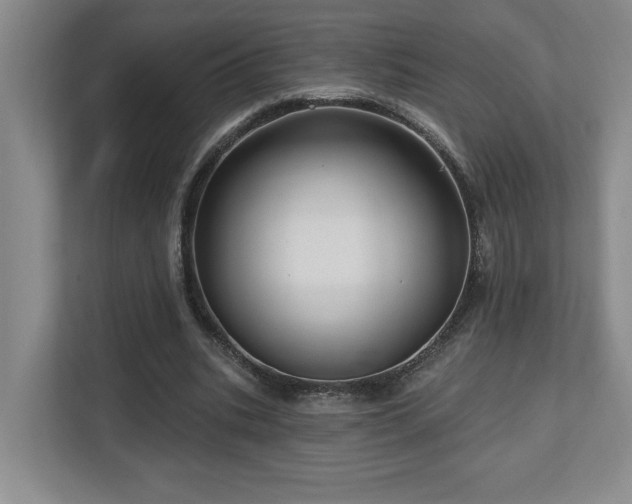 X0000112740535200908201348