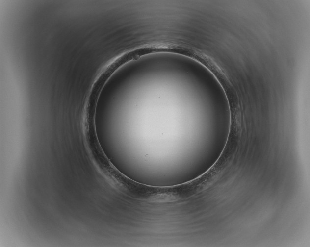 X0000112740536200908201348