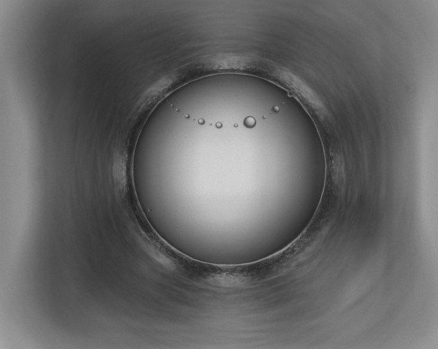 X0000112740537200908201348
