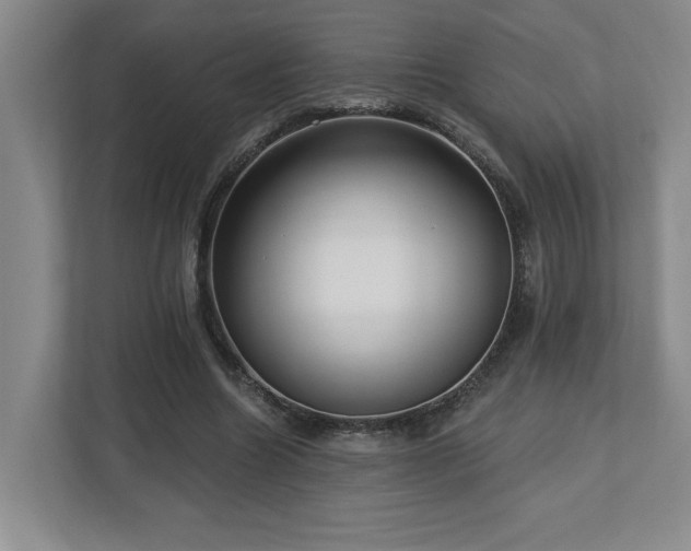 X0000112740538200908201348