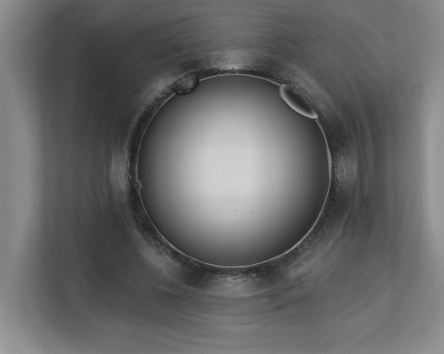 X0000112740540200908201348