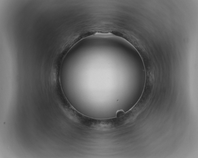 X0000112740546200908201348