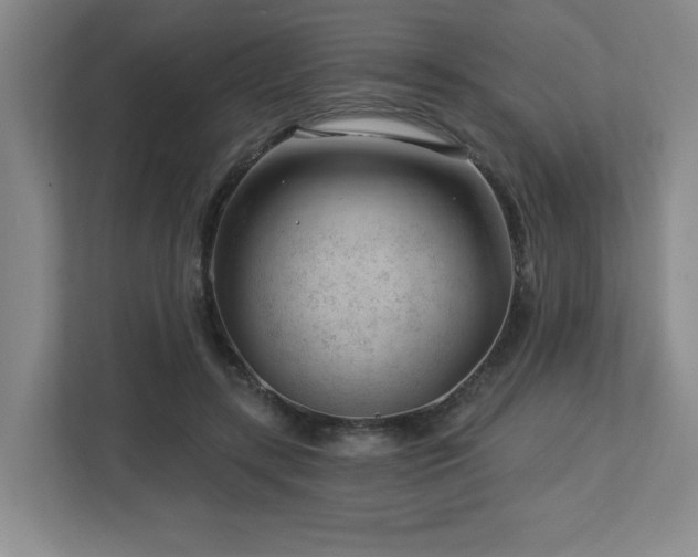 X0000112740547200908201348
