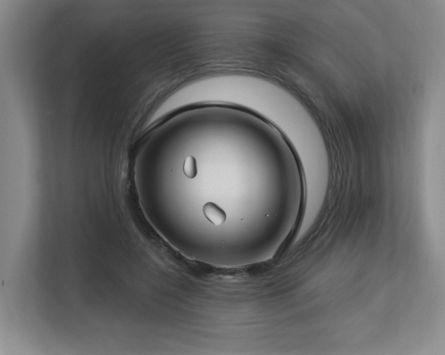 X0000112740548200908201348