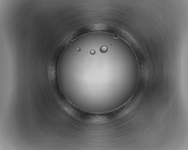 X0000112740549200908201348