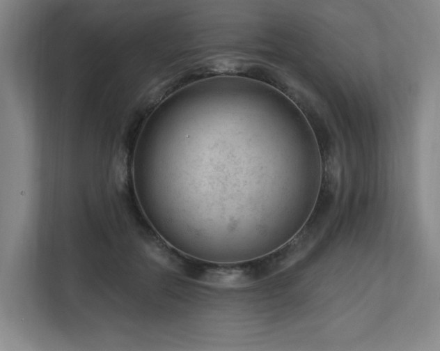 X0000112740554200908201348