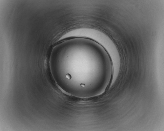 X0000112740556200908201348