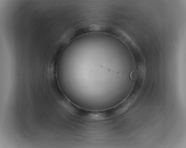 X0000112740557200908201348