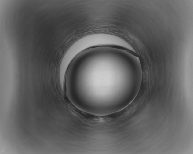 X0000112740558200908201348