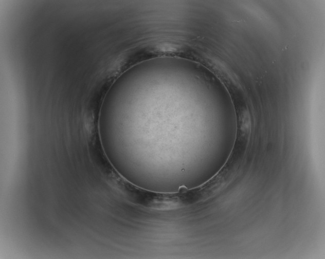 X0000112740559200908201348
