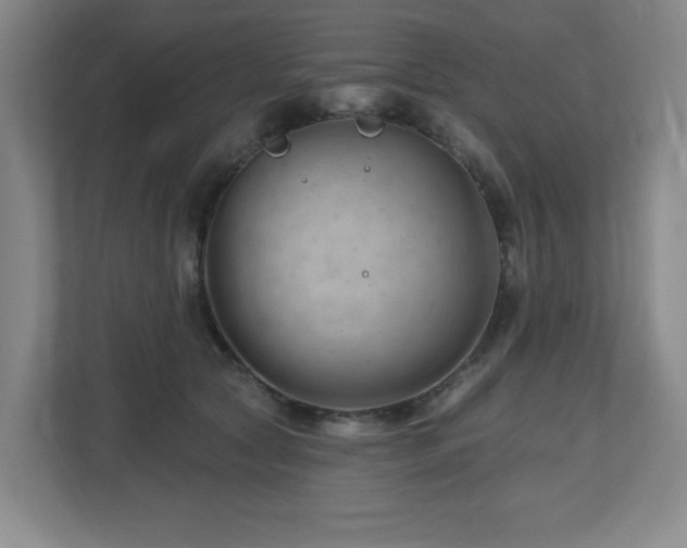 X0000112740561200908201349
