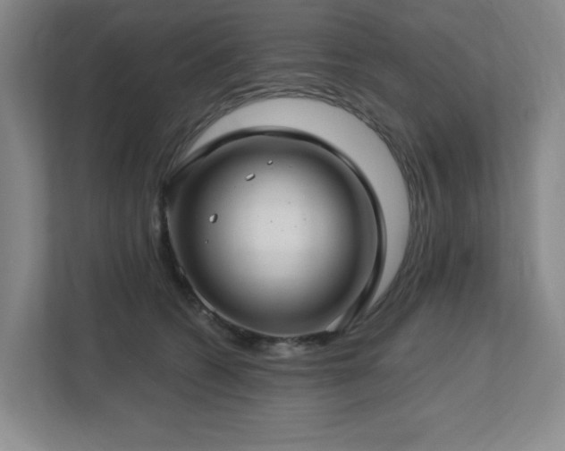 X0000112740562200908201349
