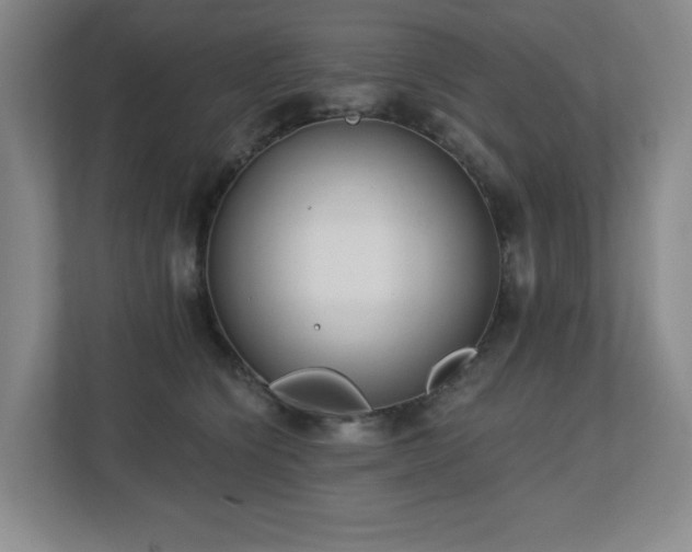 X0000112740564200908201349
