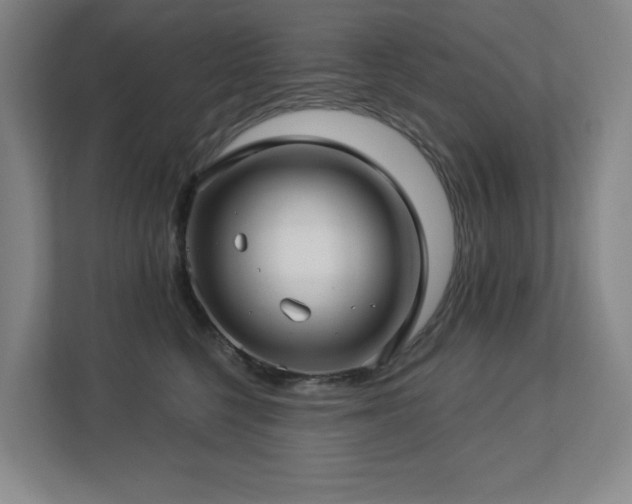 X0000112740568200908201349