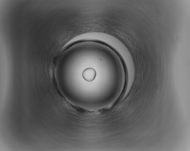X0000112740576200908201349