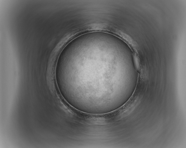 X0000112740577200908201348