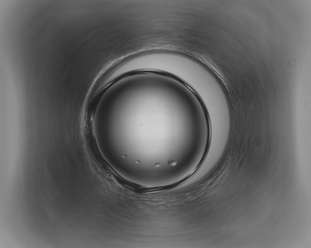 X0000112740579200908201348