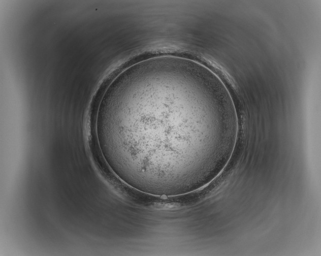 X0000112740582200908201348