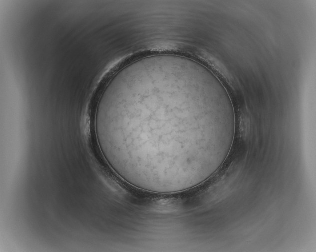 X0000112740584200908201348