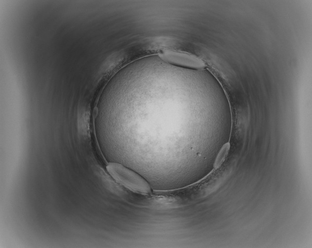 X0000112740585200908201348