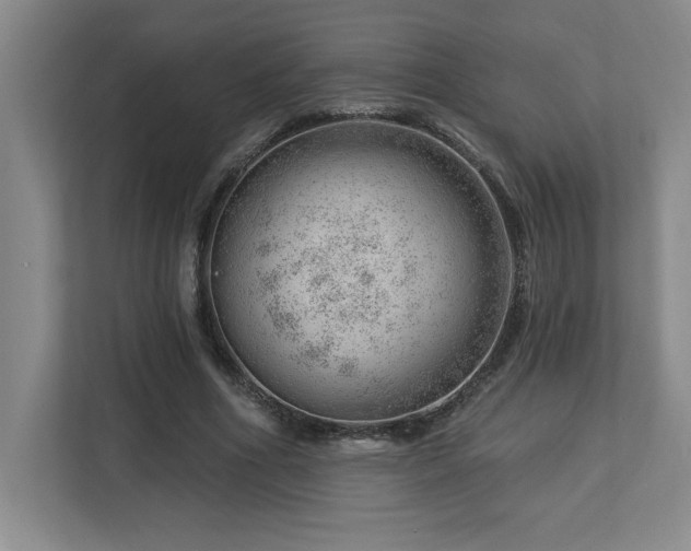 X0000112740586200908201348