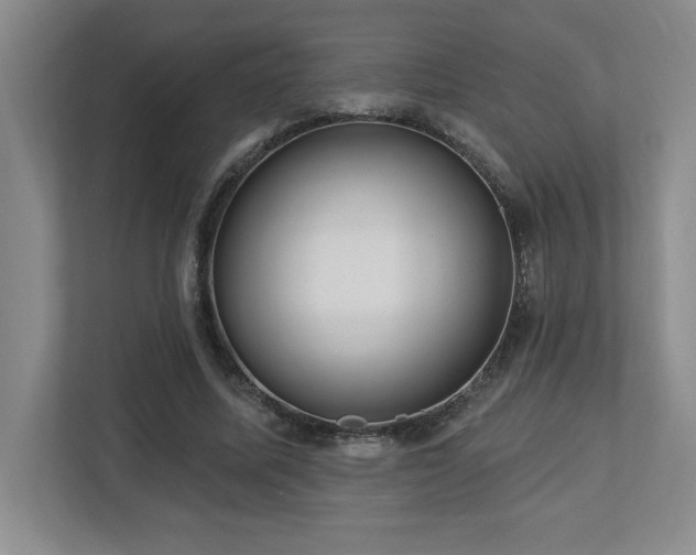 X0000112740587200908201348