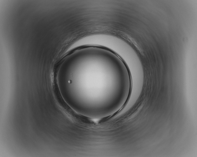 X0000112740589200908201348