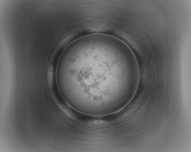 X0000112740590200908201348