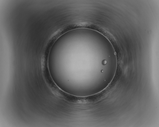 X0000112740591200908201348