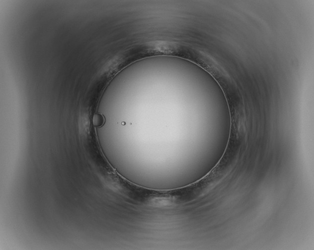 X0000112740595200908201348