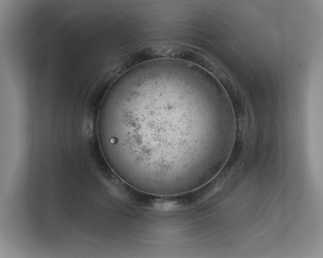X0000112740602200908201348