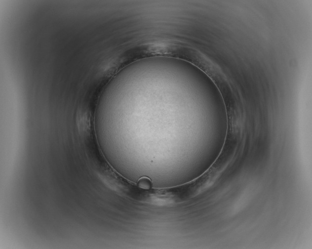 X0000112740603200908201348