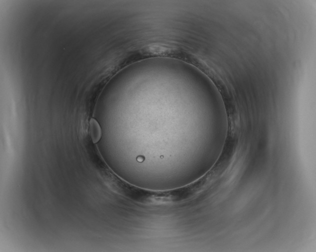 X0000112740606200908201348